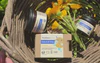 Nurturing Motherhood, Naturally and Purely
