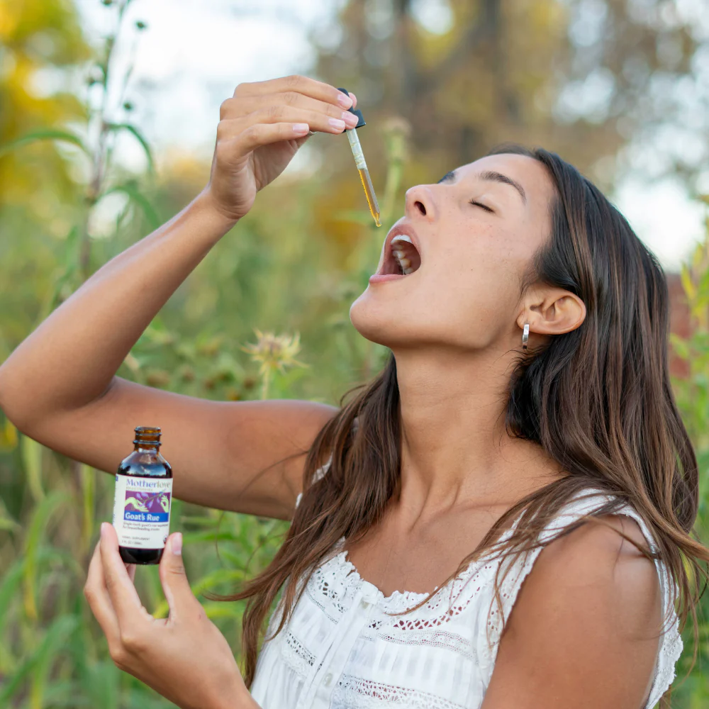 Goat's Rue - Tincture - Image 6