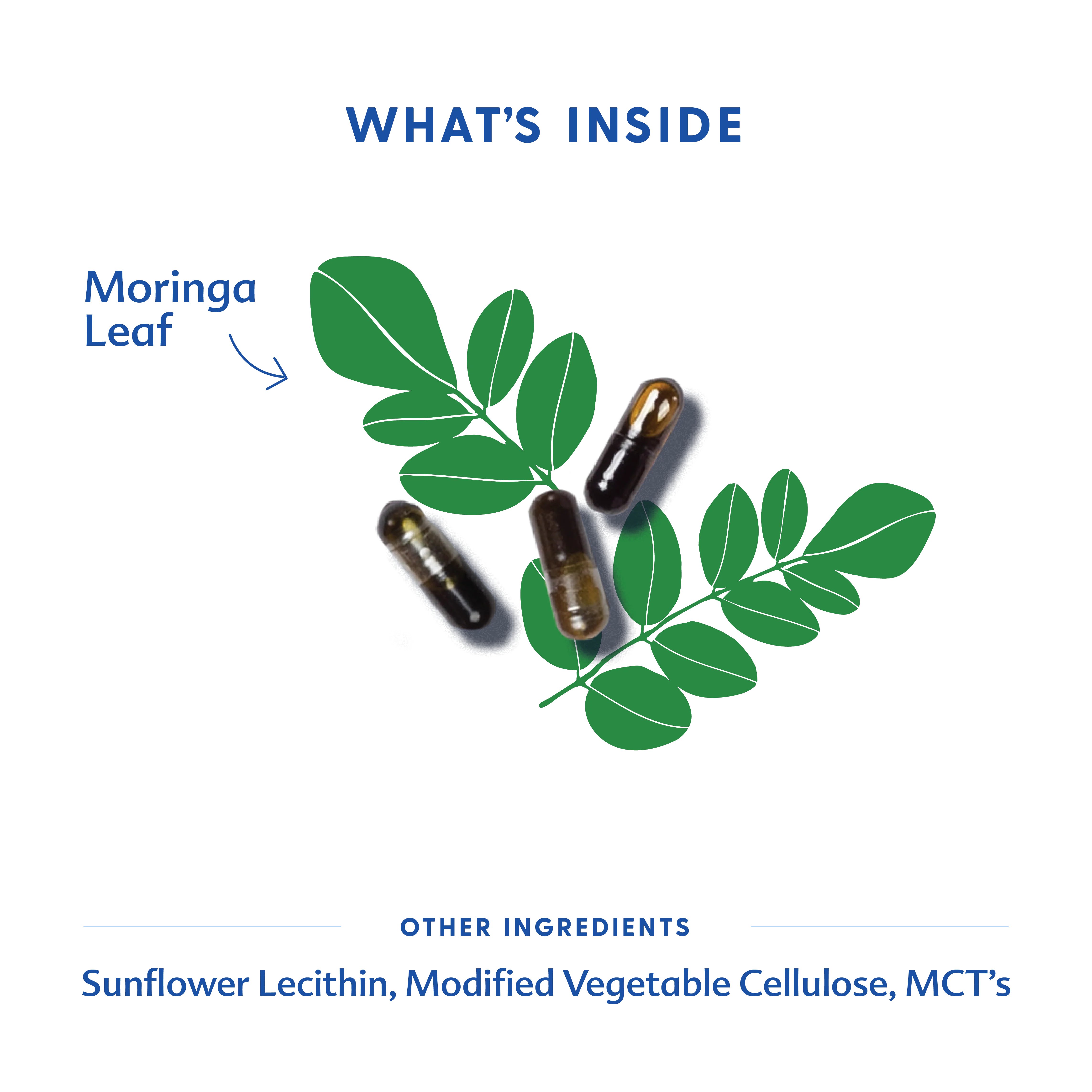 Moringa (Malunggay) - Liquid Capsules - Image 6