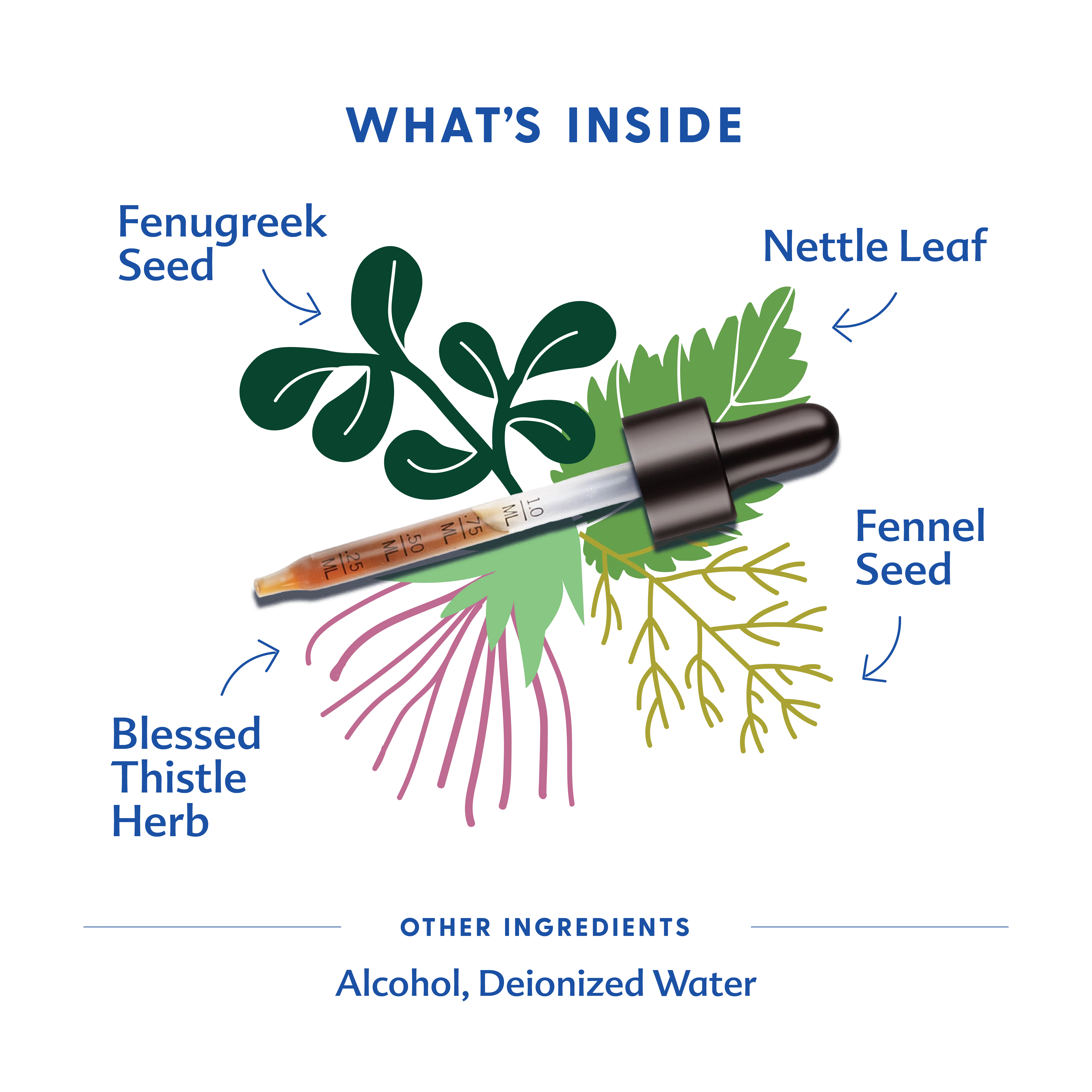 More Milk Plus® - Tincture - Image 5
