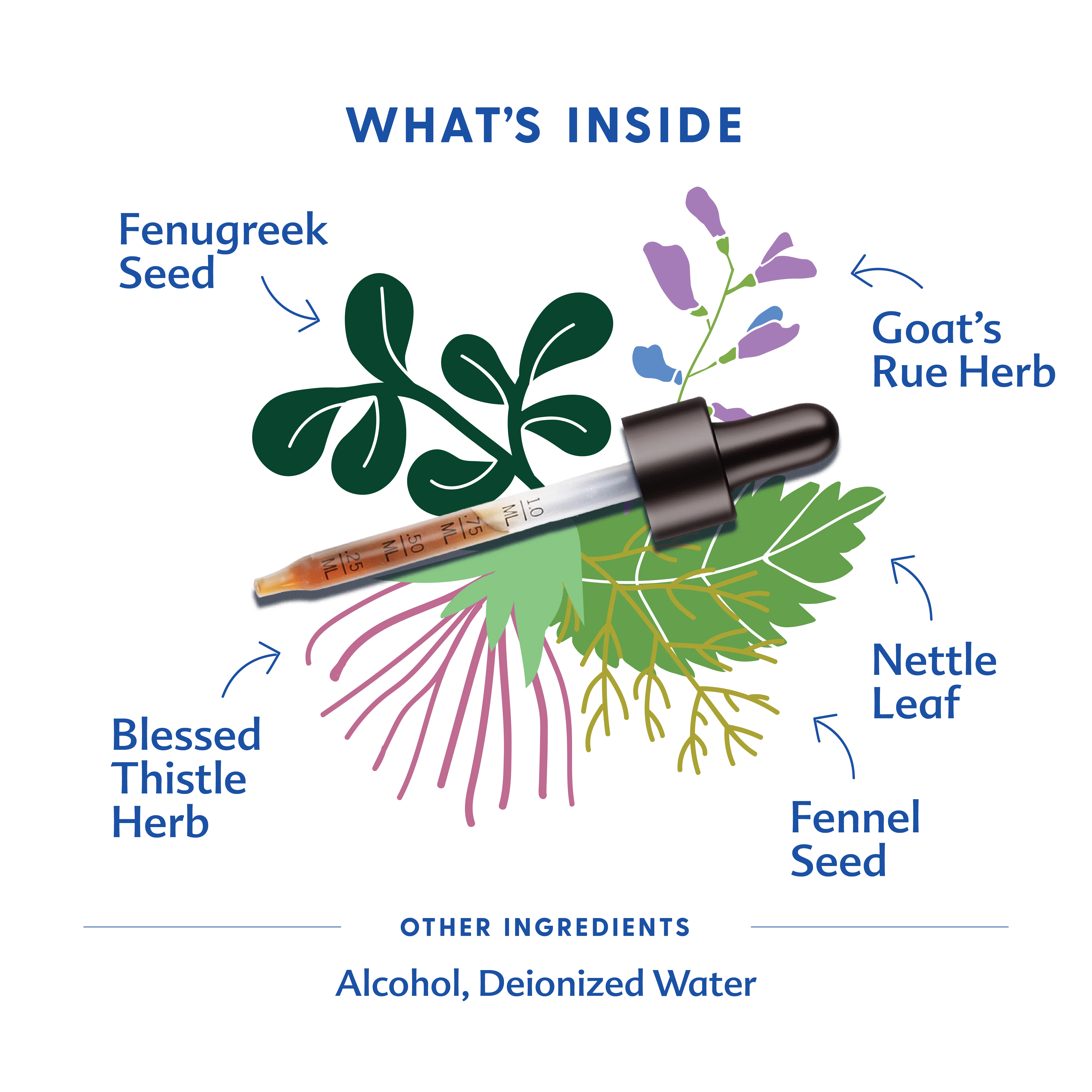More Milk® Special Blend - Tincture - Image 5