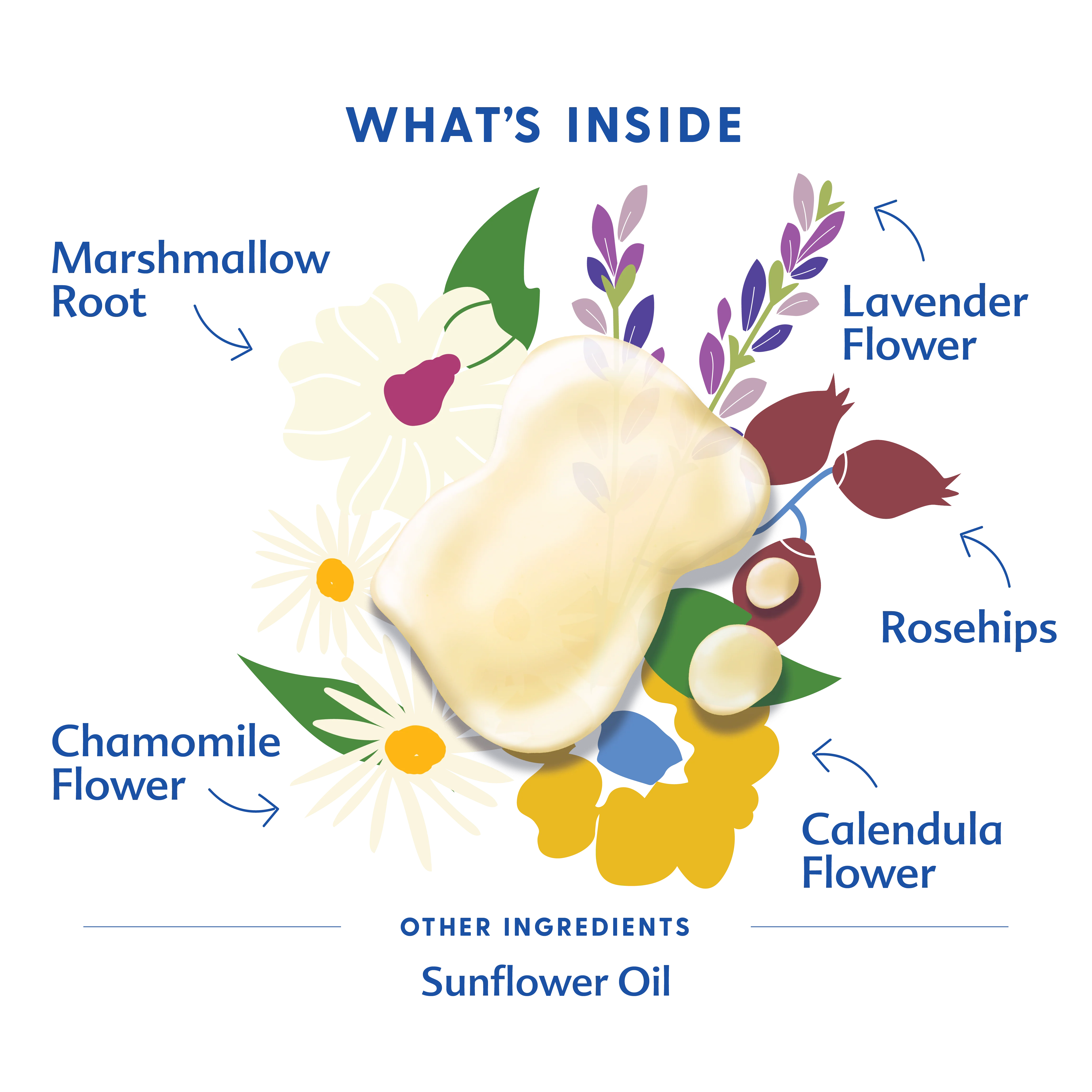 Pregnant Belly Oil - Image 3