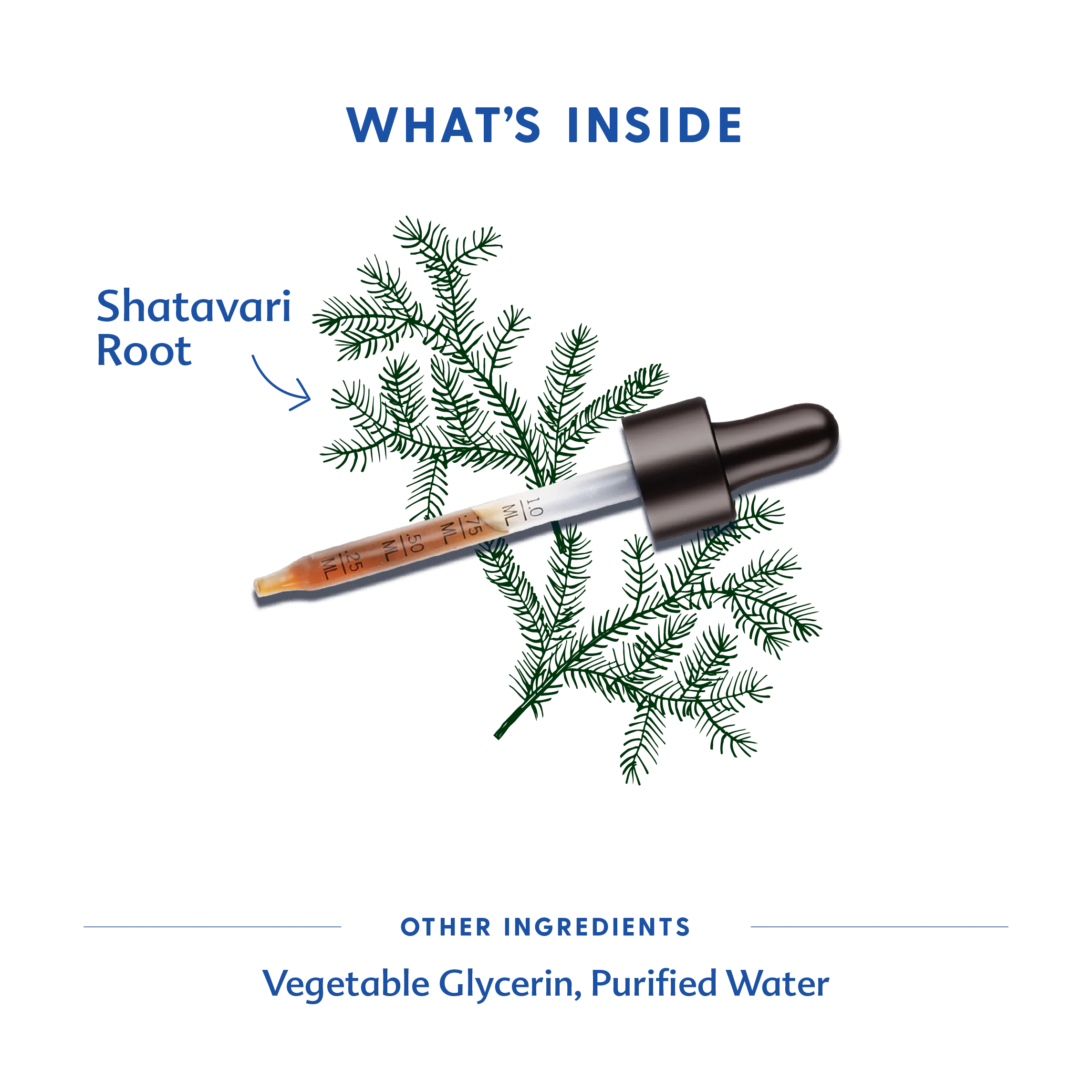 Shatavari - Tincture - Image 3
